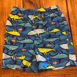 Boys Swim Trunks